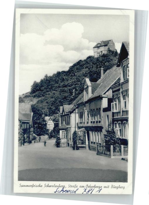 Schwalenberg Burgberg