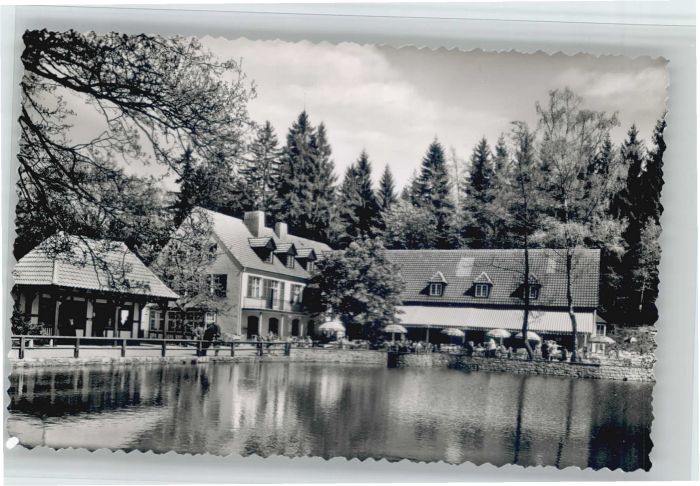 Leopoldstal Lippe Waldrestaurant Pension Silbermühle