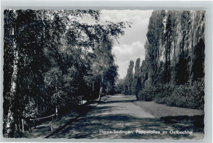 Sodingen Pappelallee Ostbachtal