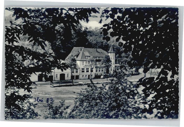 Bad Iburg Wald Hotel Felsenkeller