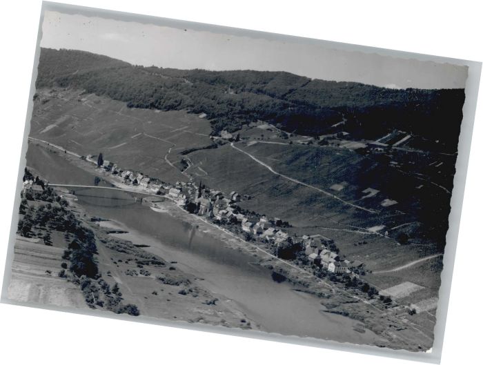 Piesport Fliegeraufnahme