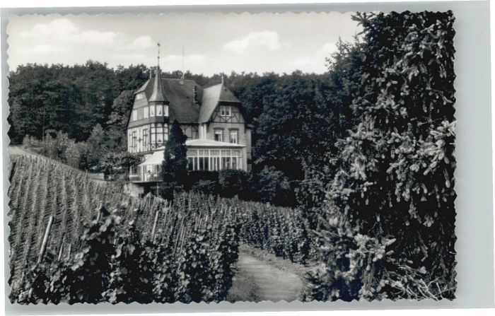 Alf Mosel Alf Hotel Haus Waldfrieden