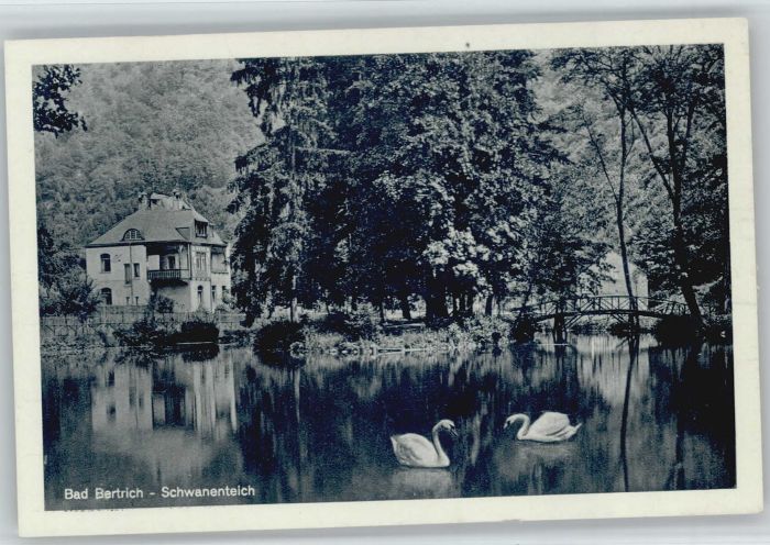 Bad Bertrich Schwanenteich
