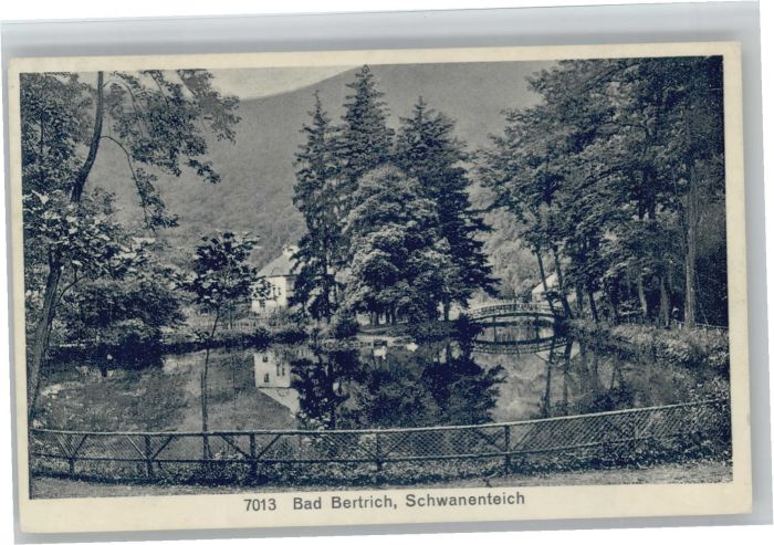 Bad Bertrich Schwanenteich