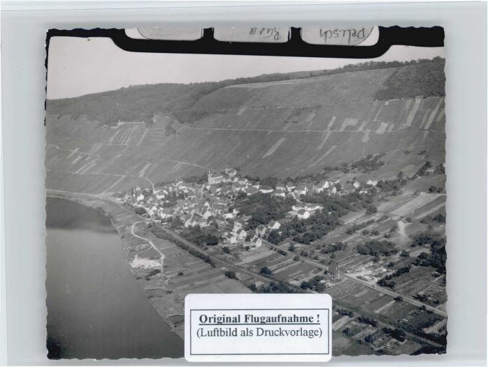 Burg Mosel Fliegeraufnahme