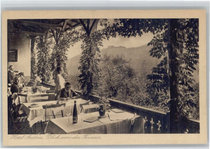 Bullay Mosel Bullay Hotel Andries Terrasse