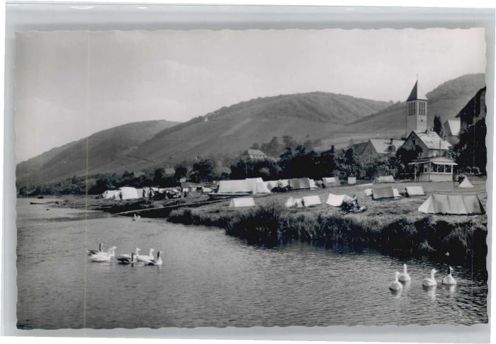 Bullay Mosel Bullay Campingplatz