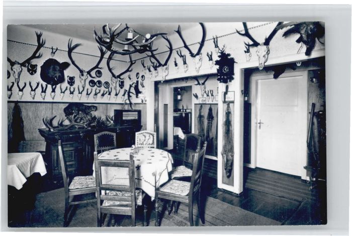 Zell Mosel Forsthaus Irlenborn Wildpark