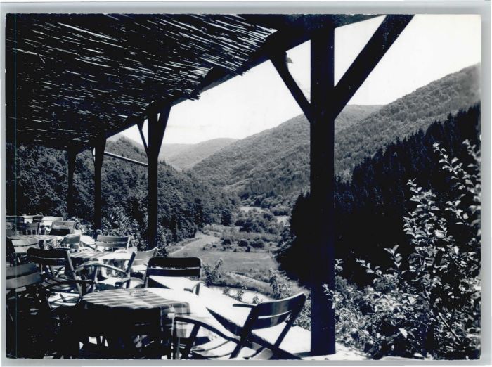 Zell Mosel Forsthaus Irlenborn Wildpark