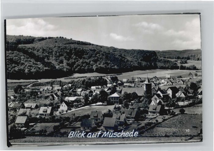 Mueschede