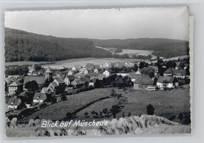 Mueschede