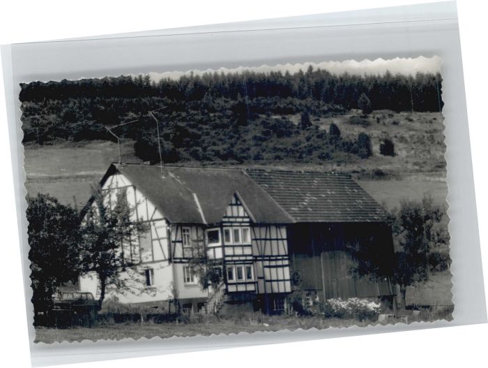 Langenzaun Pension Singscheit