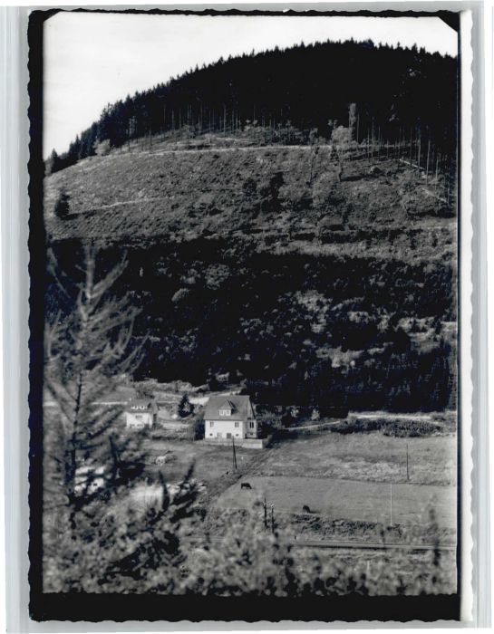 Feudingen Pension Koch