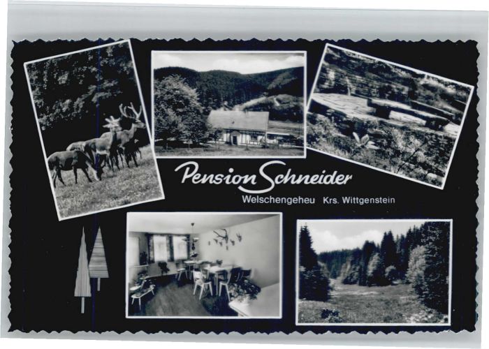 Welschengeheu Pension Schneider