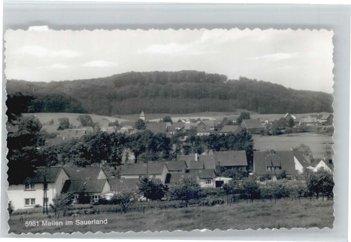 Mellen Sauerland
