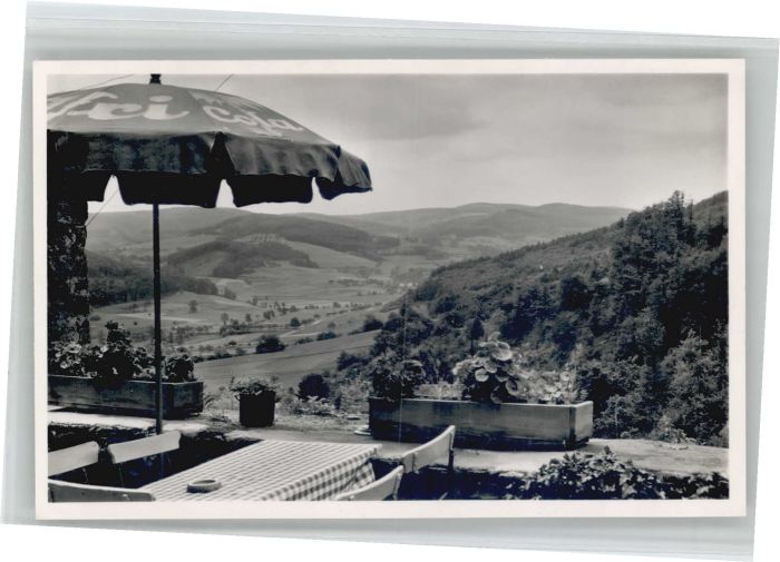 Lichtenberg Odenwald Gasthof Pension zur Linde