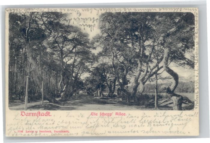 Darmstadt Schepp Allee