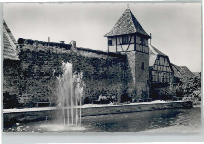 Michelstadt Stadtgarten Stadtmauer