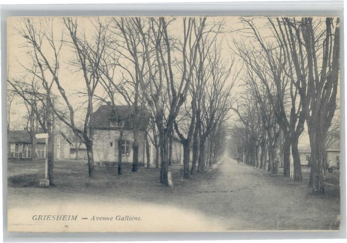 Griesheim Avenue Galliem