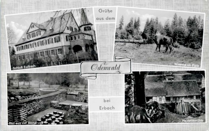 Erbach Odenwald Schloss Eulbach Wisent Heinstermühle