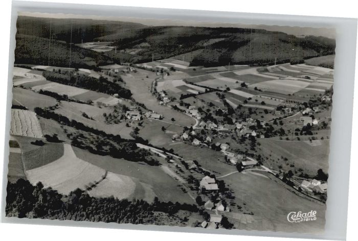 Falken-Gesaess liegeraufnahme