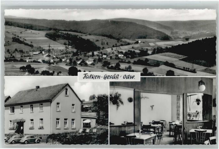 Falken-Gesaess Gasthaus Pension zur Rose