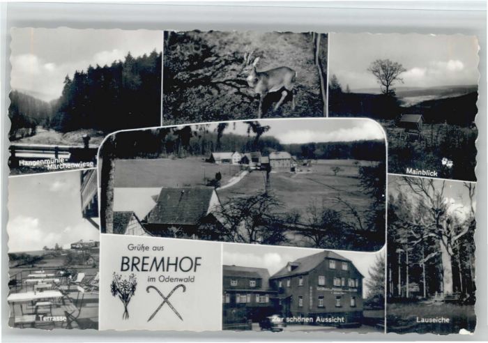 Bremhof Odenwald Gasthaus Pension zur schönen Aussicht