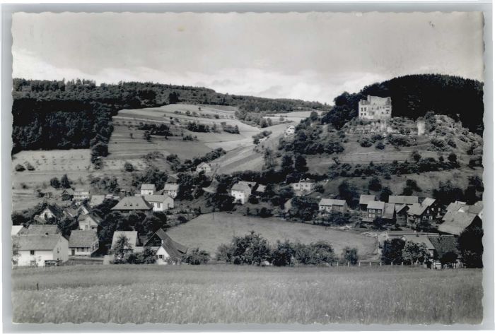 Gammelsbach Ruine Freienstein