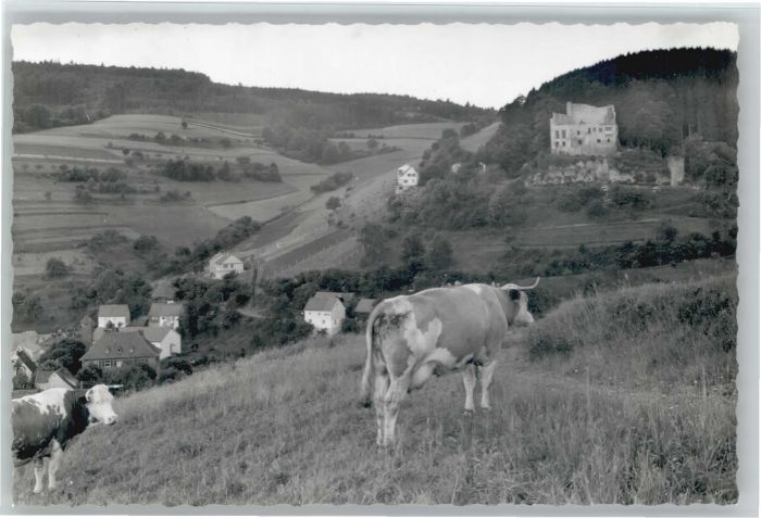 Gammelsbach Ruine Freienstein