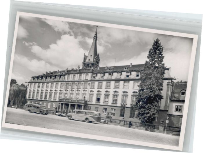 Erbach Odenwald Schloss