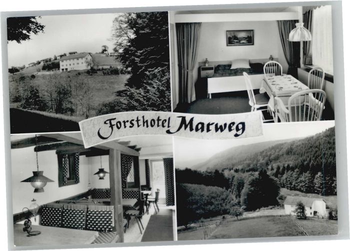 Olfen Odenwald Pension Forsthotel Marweg