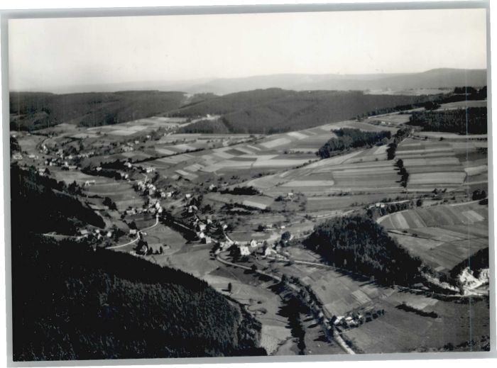 Falken-Gesaess liegeraufnahme