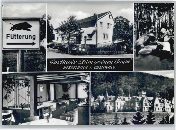 Hesselbach Odenwald Gasthaus zum grünen Baum