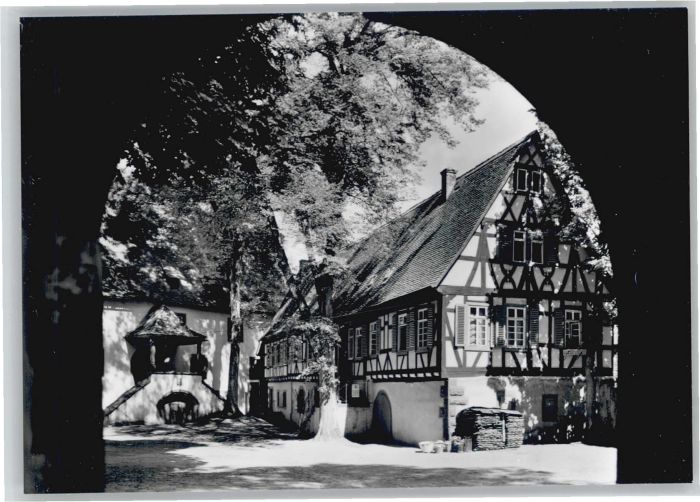 Michelstadt Kellerei Hof
