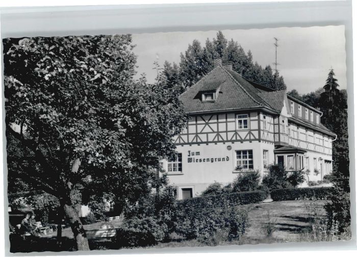 Winkel Odenwald Gasthaus Pension Zum Wiesengrund