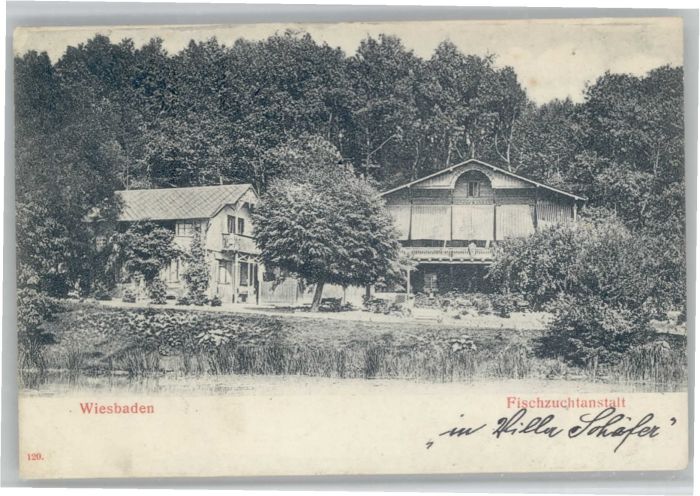 Wiesbaden Fischzuchtanstalt