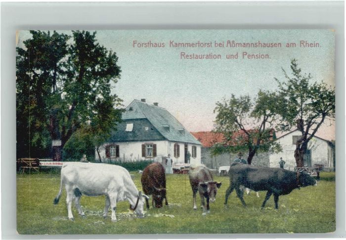 Assmannshausen Forsthaus Kammerforst