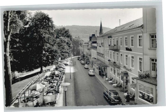 Schlangenbad Taunus Rheingauer Strasse Hotel Viktoria