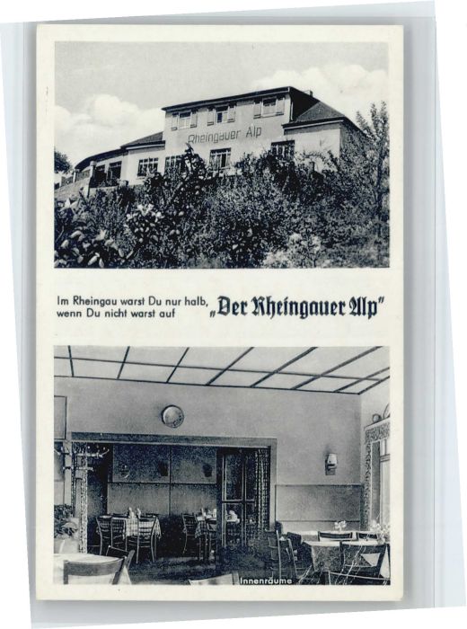 Presberg Rheingau Gasthaus Pension Rheingauer Alp