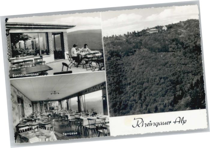 Presberg Rheingau Gaststätte Rheingauer Alp