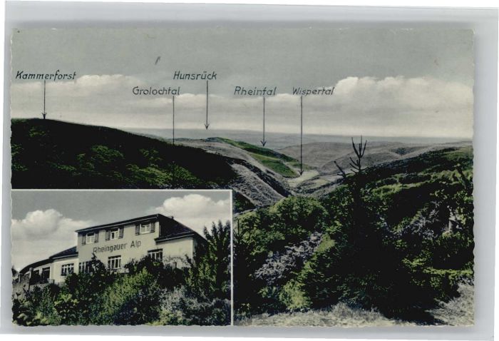 Presberg Rheingau Gasthaus Rheingauer Alp