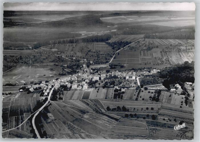 Koenigstein Taunus chloss Born Fliegeraufnahme