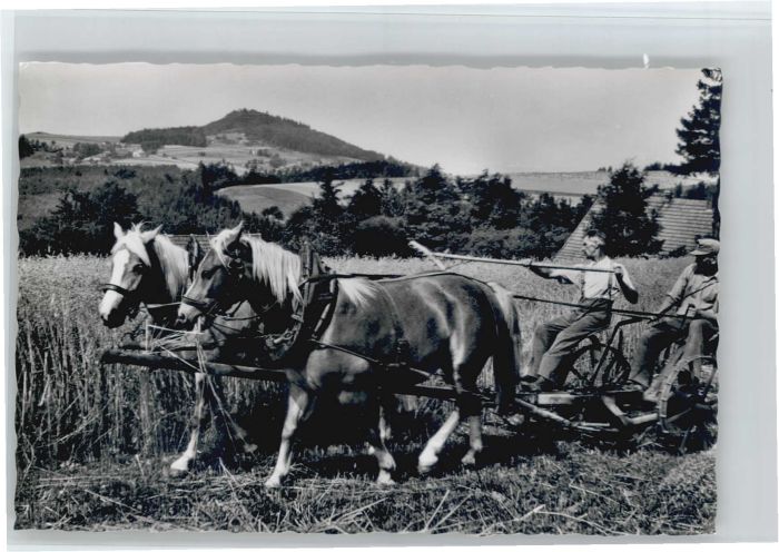 Poppenhausen Bodenhof Pferde Kutsche