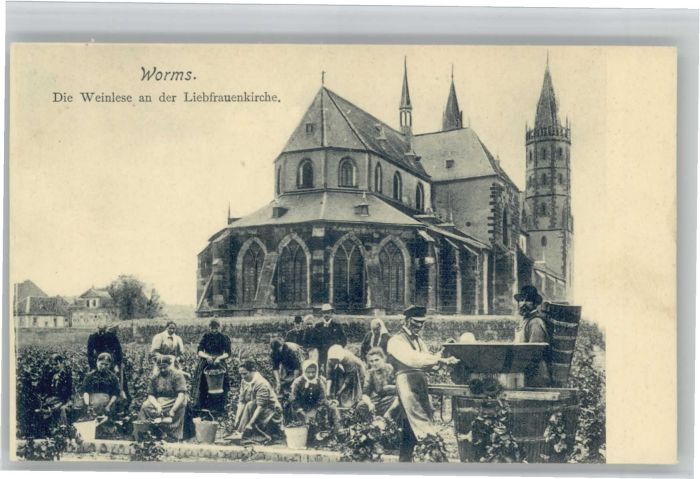 Worms Weinlese Liebfrauenkirche
