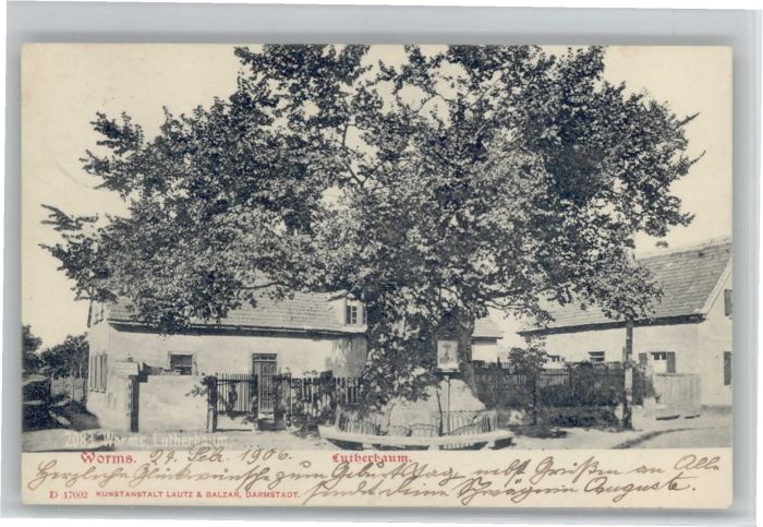 Pfiffligheim Worms Pfiffligheim Pfifflichheim Lutherbaum