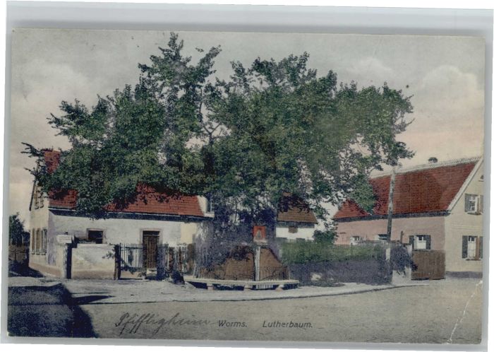 Pfiffligheim Worms Pfiffligheim Pfifflichheim Lutherbaum