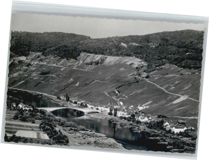 Piesport Fliegeraufnahme