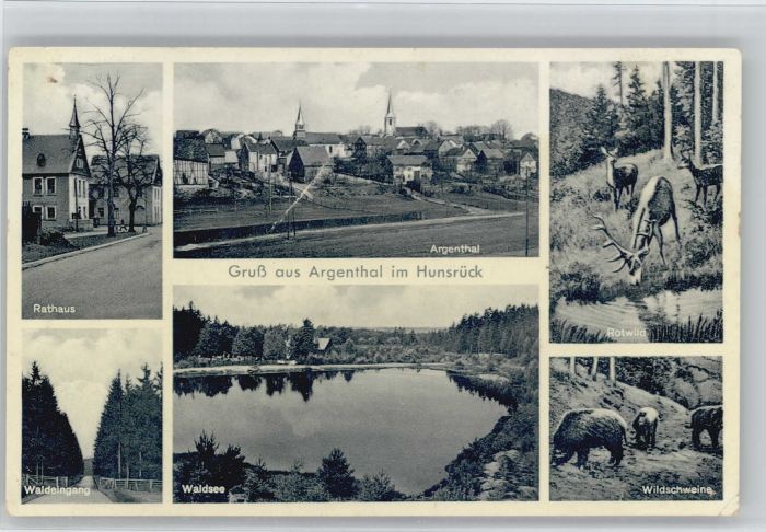 Argenthal Rathaus Waldsee Wildschweine Rotwild