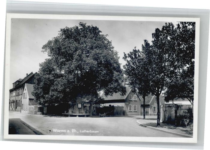 Worms Lutherbaum