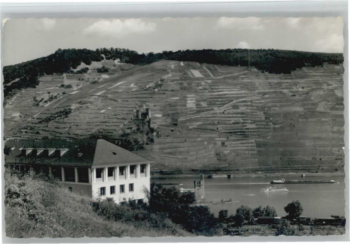 Bingerbrueck ugendherberge Mäuseturm Ruine Ehrenfels